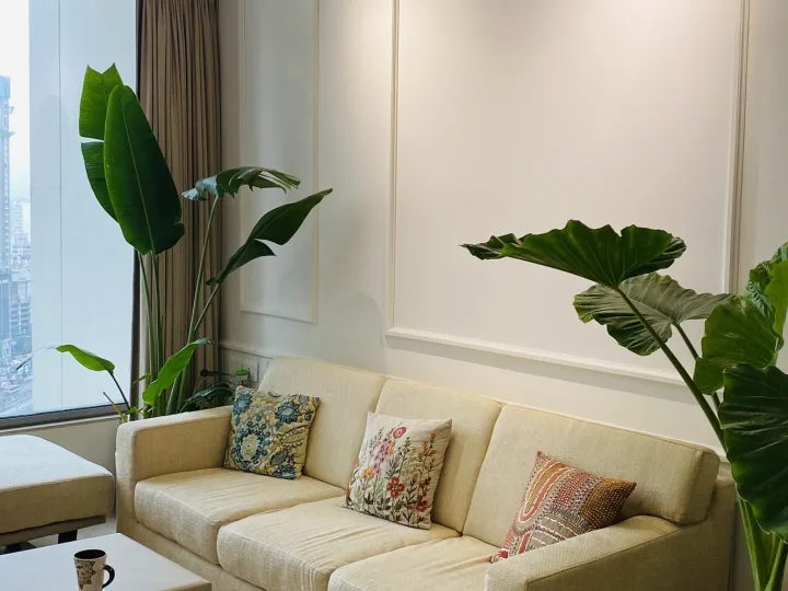 Interior fit-out by Grace Turnkey Projects at Residence 6